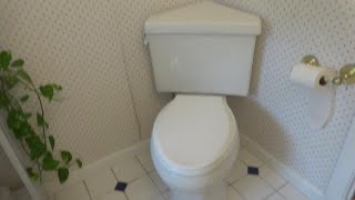 TOILET LEAKING ON FLOOR NEEDS SERVICE [upl. by Aimit]