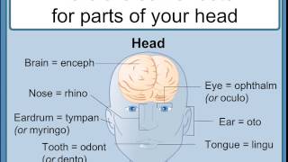 How to Interpret Medical terms  Understanding Medical Words a tutorial [upl. by Suiramed]