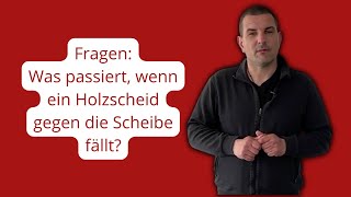 Frage Was passiert wenn ein Holzscheit gegen die Kaminscheibe fällt [upl. by Chelsey558]