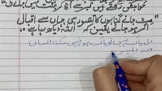 Allama Iqbal poetry in Urdu  Urdu shayari Meripyariurdu [upl. by Jola925]