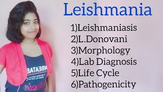 Leishmania Leishmaniasis Kalaazar Morphology amp lab diagnosis including its life cycle [upl. by Kopp]