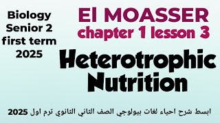 Biology 2nd secondary first term Heterotrophic Nutrition [upl. by Ataynik]