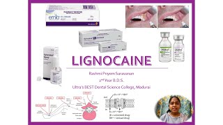 Lignocaine  Lidocaine  Actions  Mechanism  Pharmacokinetics  Uses  Adverse Effects  Toxicity [upl. by Barron436]