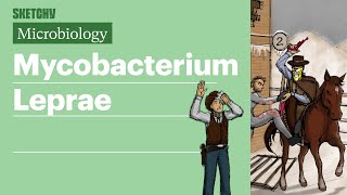 Mycobacterium Leprae Microbiology  USMLE Step 1  Sketchy Medical [upl. by Moody]