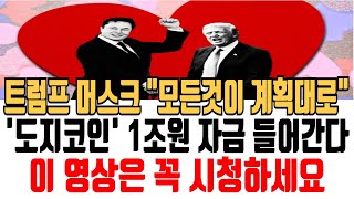 도지코인 전망 트럼프 머스크 모든것이 계획대로 도지코인 1조원 자금 들어간다 도지코인 도지코인전망 도지코인분석 도지코인목표가 도지코인호재 도지코인차트 [upl. by Malim631]