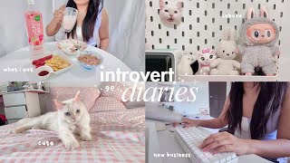 introvert diaries ☁️ a day in a life of a business owner what I eat in a day cat mukbang grocery [upl. by Procter]