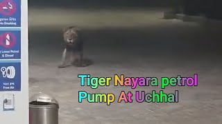 Tiger Nayara Petrol Pump [upl. by Lladnew]