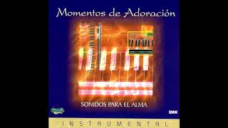 Llévame al lugar Santísimo Instrumental [upl. by Mosora]