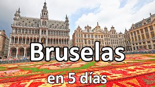 📌 BRUSELAS en 5 días 🟢 GUÍA DE VIAJE 4K  Bélgica [upl. by Raimundo]