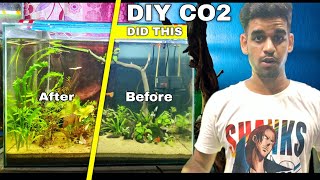 DIY CO2 Did This To My Aquarium Plants [upl. by Nata]