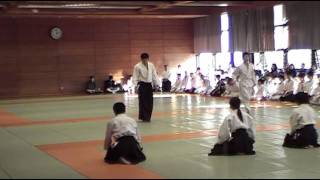 Suzuki Toshio Sensei  Shinjuku Sports Center Dojo 5th Anniversary Demonstration 2010 [upl. by Kohn]