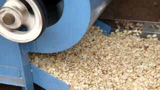 Peanuts Peeling machine 2 PieceMPG [upl. by Now46]