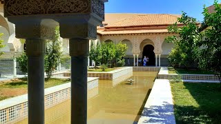 TLEMCEN 🕌 Palais ELMECHOUAR JeudiTOUT [upl. by Nadbus780]