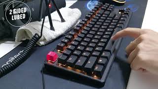 Tecware Phantom TKL Lubing and Typing Test Outemu Brown [upl. by Eleanora]