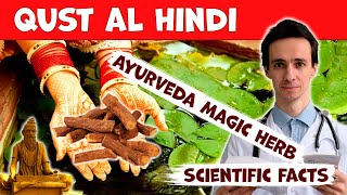 Qust Al Hindi Costus unique Indian herb What does the science say How to use Contraindications [upl. by Tades]