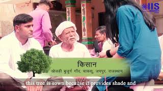 Khejri Treasure Tree of Rajasthan [upl. by Ardnua]