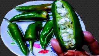 Green Chilli Panneer Pakora Recipekabitas kitchenভাত মুড়ি রুটির সঙ্গে মজা করে খাওয়ার রেসিপি [upl. by Atteuqram]