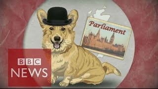 UK election A guide for nonBrits  BBC News [upl. by Eadahc]