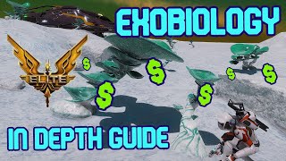 Elite In Depth Guide  2024 Exobiology  Easy Beginner Money 200400Mhr  Space Biological Species [upl. by Gittel]