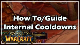 World of Warcraft How To  Guide  Internal Cooldowns in WoW [upl. by Quennie]