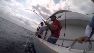 Blackfin Tuna caught of Kelly Fishing Fleet 2015 [upl. by Haliehs842]