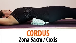 Terapia con CORDUS Zona Sacro  Coxis  Puntos  y 7 [upl. by Ralleigh]