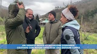 PRESA DIRETTA  CASTIGLIONE CHIAVARESE [upl. by Araminta]