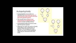 Polyploidy [upl. by Seve189]