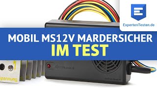 Marderschreck Review Mobil MS12V von MarderSICHER im Test 2021 [upl. by Harlen]