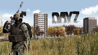 When a 16000 Hour DayZ Player Goes BEAST Mode [upl. by Lyns]