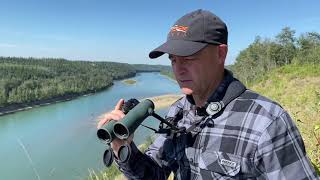 Swarovski Optik 12x42 NL Pure Binocular Review [upl. by Cerallua]