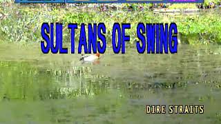 Sultans Of SwingDire Strait Karaoke [upl. by Lili]