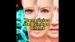 Beneficios del Ginkgo Biloba shorts [upl. by Nonnad]