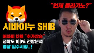 시바이누 SHIB 긴급 도지코인도 설명해줌 빠르면 다음주 늦어도 12월부터 quot추가상승quot 나온다 정확도 100 전망분석 영상 필수시청 코인시황 [upl. by Alper83]