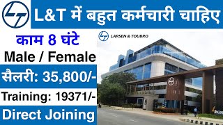 LampT Recruitment 2024  LampT Job vacancy 2024  Private company job vacancy 2024  Jobvalley [upl. by Epifano]