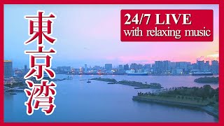 【東京湾ライブカメラ】東京湾の海と空、船と飛行機の往来 24時間ライブ配信中  Live cam [upl. by Ahter]