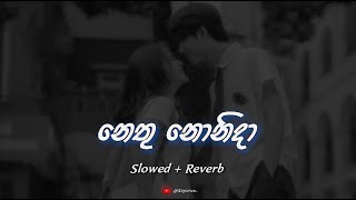 Oya Lagin  Slowed  Reverb  නෙතු නොනිදා රෑ අදුරේ [upl. by Nonaihr]