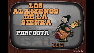 Los Alameños De La Sierra  Perfecta Karaoke [upl. by Mell385]