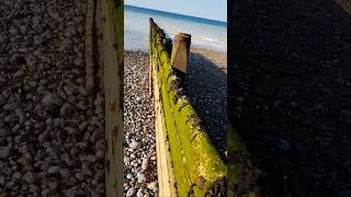 quotlongshore driftquot barrier example near Cromer pier Norfolk UK wild nature countryside outdoors [upl. by Stanwinn]