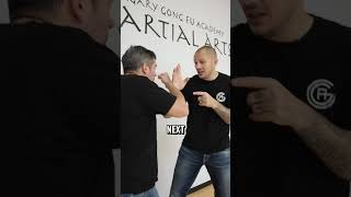 Boxing vs Wing Chun Which one wins [upl. by Derf]