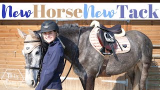 New Horse New Tack AD  This Esme [upl. by Gemini305]