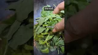 chhattisgarh chhattisghar villagefood cg recipe cgsong cookingcgshortsviral [upl. by Auqenehs353]