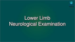 Lower Limb Neurological Examination  Macleods Clinical Examination [upl. by Eslehc]