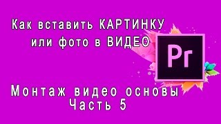 Adobe Premiere Pro Как вставить КАРТИНКУ или фото в ВИДЕО Вставка картинки и фотографии [upl. by Kreager]