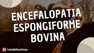 Encefalopatia Espongiforme Bovina 043 [upl. by Daffy761]