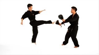 How to Do a Double Roundhouse Kick  Taekwondo Training [upl. by Tito]