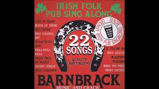 Barnbrack  22 Irish Folk Pub Songs Sing Along [upl. by Essam]