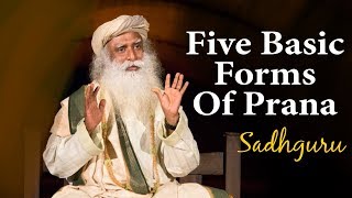 Sadhguru Explain The 5 Basic Forms Of Prana [upl. by Joacimah]