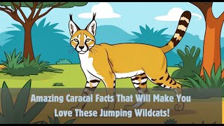 Why Do Caracals Have Black Ear Tufts Discover 10 Fun Facts [upl. by Swann803]