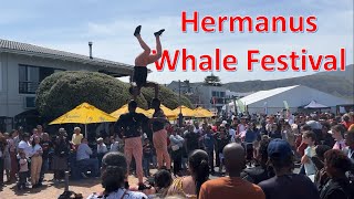 Hermanus Whale Watching Festival 2022 [upl. by Eam]